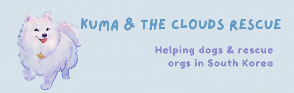 Kuma & The Clouds Rescue Inc